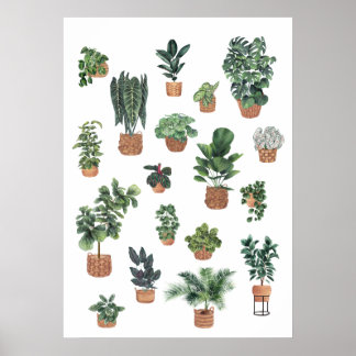 Affiche Collection plante 6