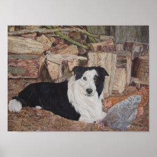 Affiche collie chien à la frontière dans un hangar à bois 