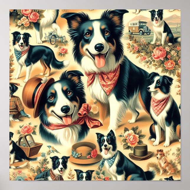 Affiche Collie frontière mignonne sans joint (Devant)