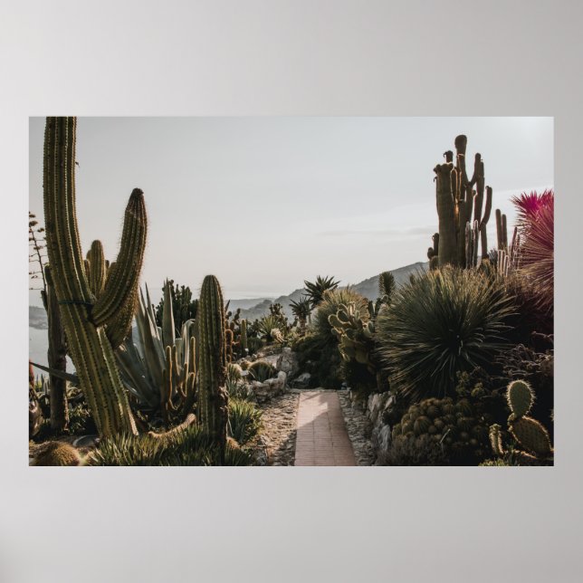 AFFICHE COLLINE CACTI (Devant)