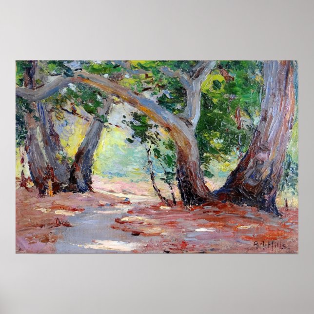 Affiche Collines - Sunshine Shadow Orange County Park (Devant)