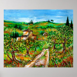 Affiche Collines vertes et oliviers Paysage de Toscane