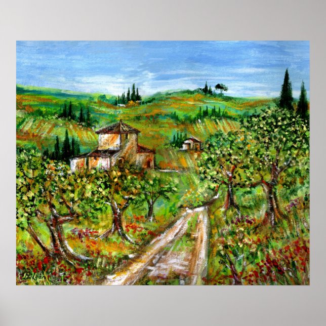Affiche Collines vertes et oliviers Paysage de Toscane (Devant)