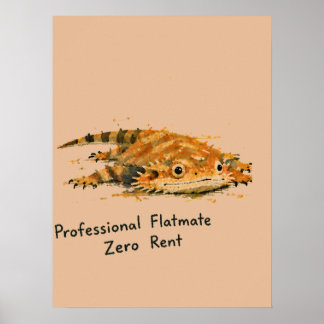 Affiche Colocataire Professionnel Dragon Barbu à loyer Zér