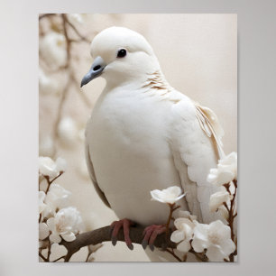 Affiche Colombe Blanche Élégante