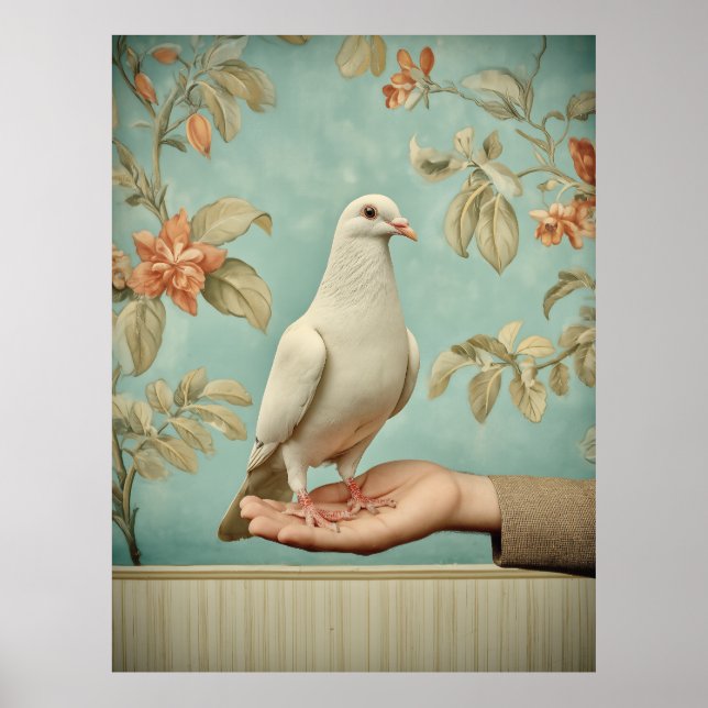 Affiche Colombe blanche paisible (Devant)