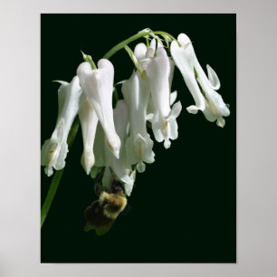 Affiche Colonne Blanche Fleur Et Abeille Bumble