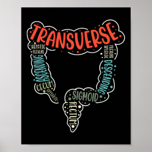 Affiche Colonoscopie Gi Funny Endoscopie Infirmière Colon