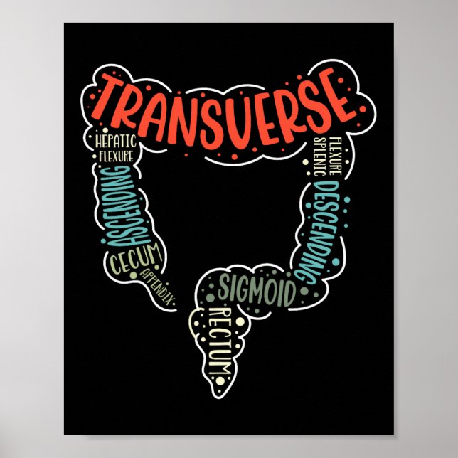 Affiche Colonoscopie Gi Funny Endoscopie Infirmière Colon  (Devant)