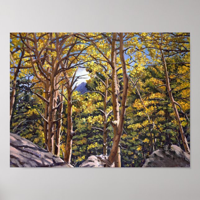 Affiche Colorado Aspens in Beautiful Autumn Splendor (Devant)