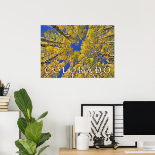 Affiche Colorado automne   Forêt de trembles en automne