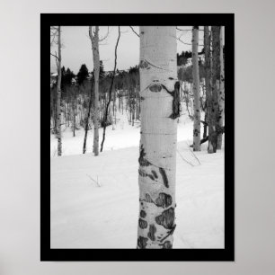 Affiche Colorado Hiver Aspen