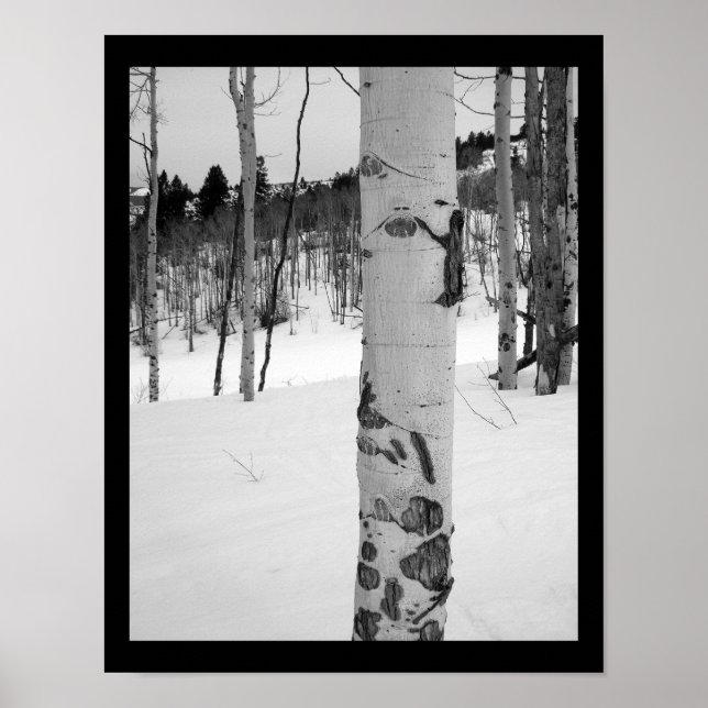 Affiche Colorado Hiver Aspen (Devant)
