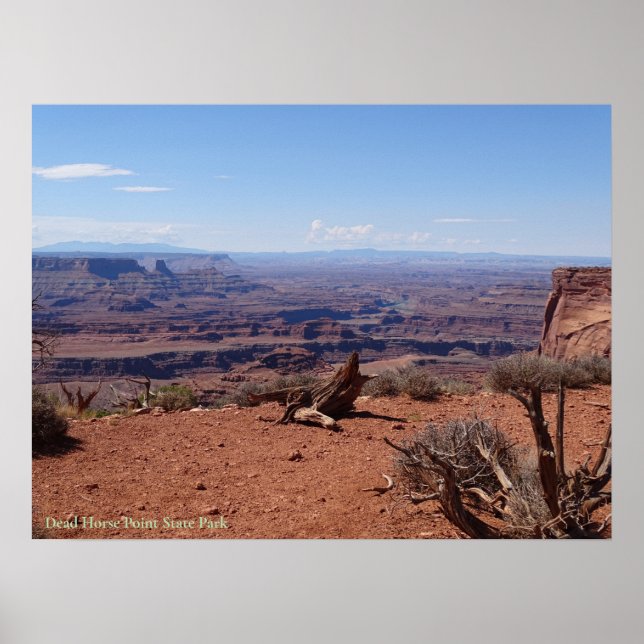 Affiche Colorado River Canyon, Dead Horse Point State Park (Devant)