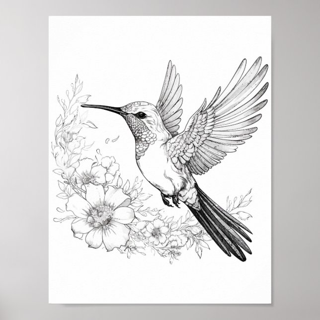 Affiche Coloration adulte de colibri (Devant)
