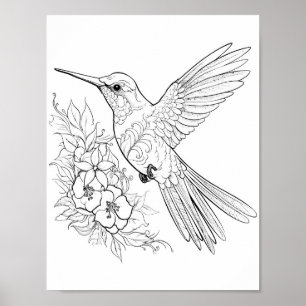Affiche Coloration adulte de colibri