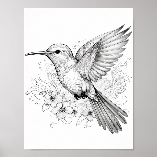 Affiche Coloration adulte de colibri (Devant)