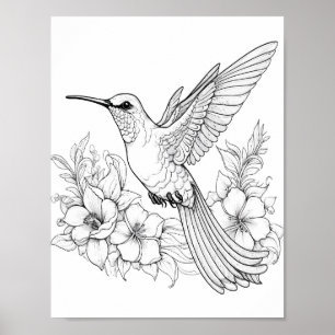 Affiche Coloration adulte de colibri