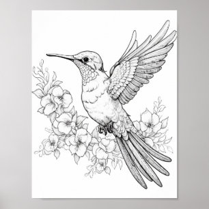 Affiche Coloration adulte de colibri