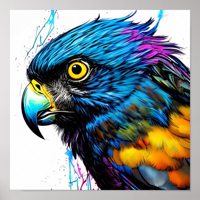 Affiche colorful hawk bird art (Devant)
