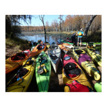 Colorful Kayaks