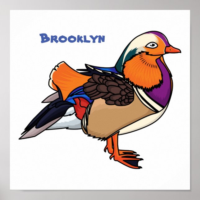 Affiche Colorful mandarin duck (Devant)