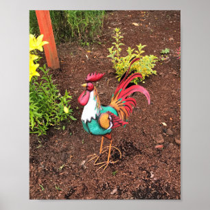 Affiche Colorful Rooster in the Garden