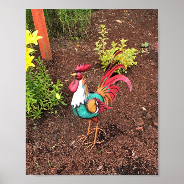 Affiche Colorful Rooster in the Garden (Devant)
