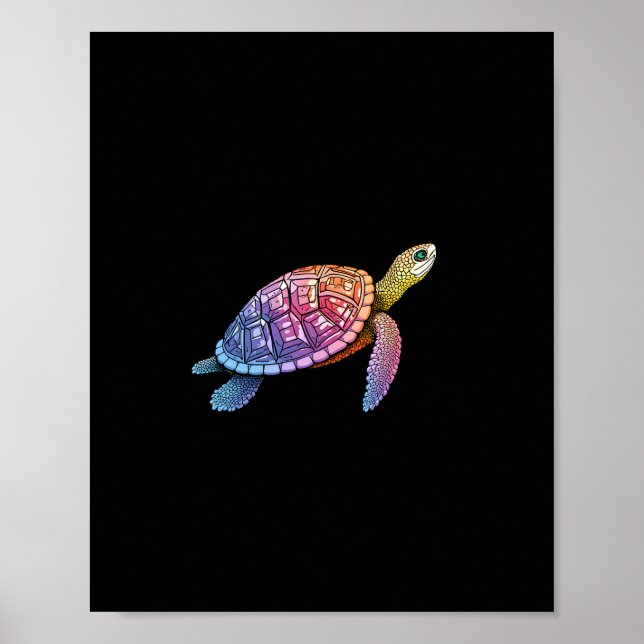Affiche Colorful Splash Eastern Box Turtle (3) (Devant)