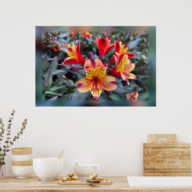 Affiche Colors de Summer (Cuisine)