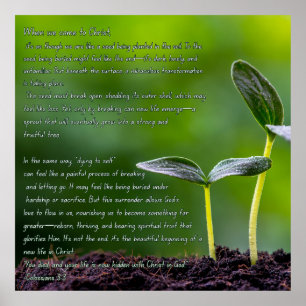 Affiche Colossiens 3:3 graphique avec ressort jardin