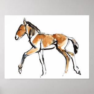 Affiche Colt