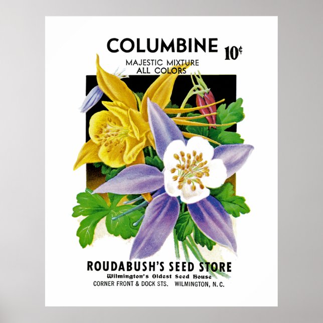 Affiche Columbine (Devant)