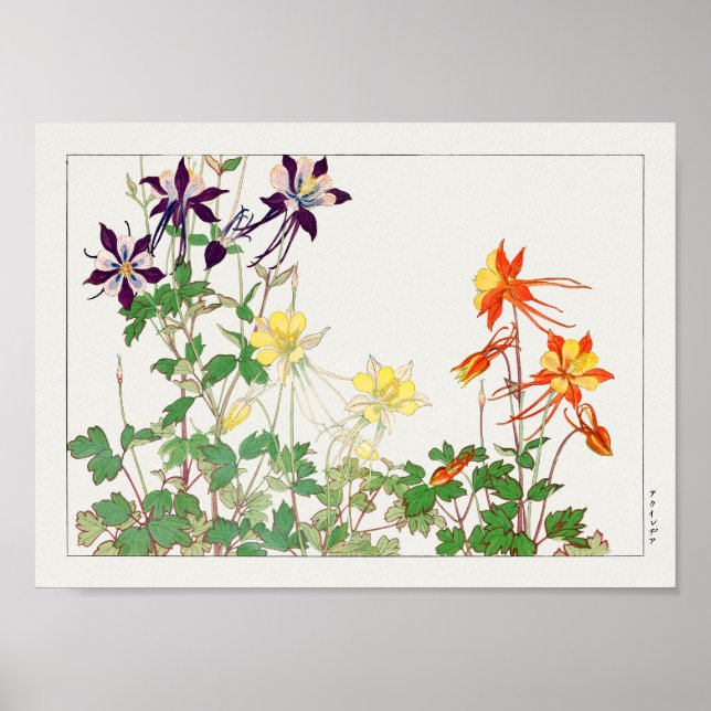 Affiche Columbine par Tanigami Konan (Devant)