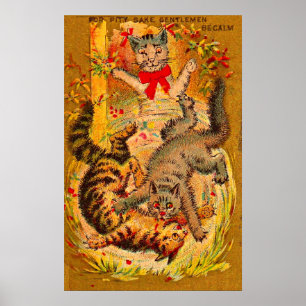 Affiche combat de chat