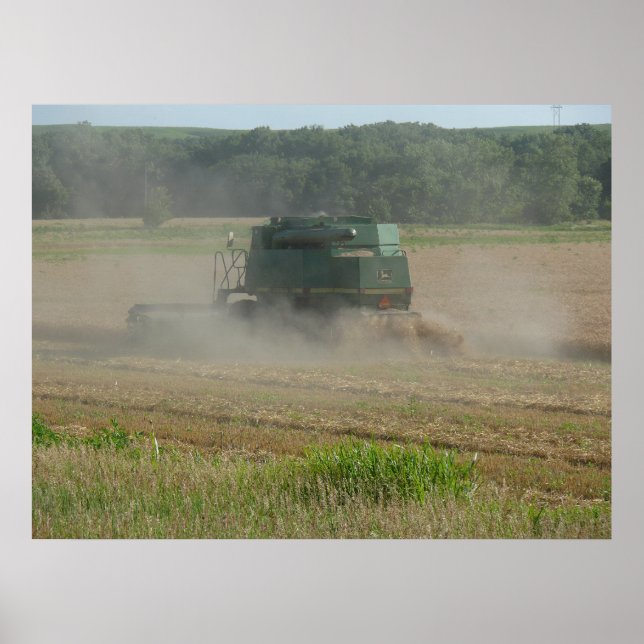 Affiche Combiner la moissonneuse dans le champ de blé (Devant)
