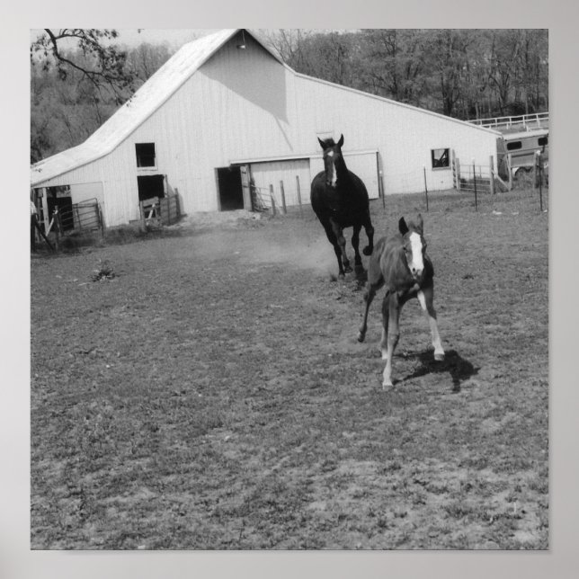 Affiche Coming at Ya (Devant)