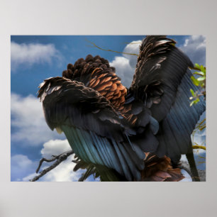 AFFICHE COMMANDANT SKY BATELEUR EAGLE