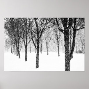 Affiche comme je prends le parti des arbres