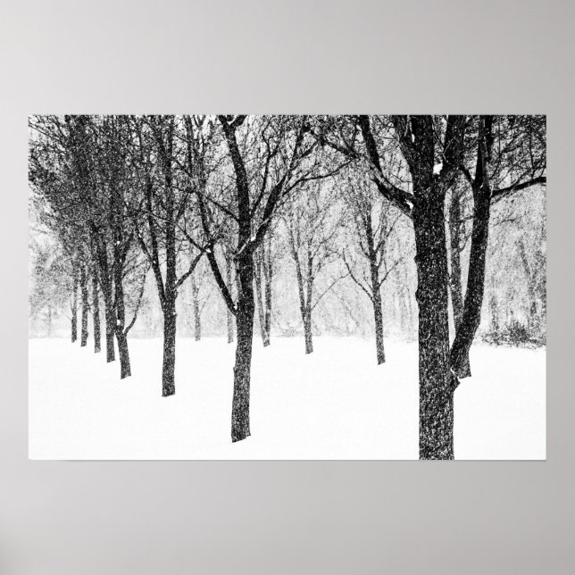Affiche comme je prends le parti des arbres (Devant)