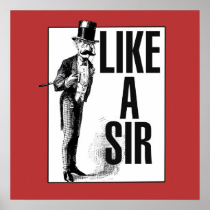 Affiche Comme un SIR