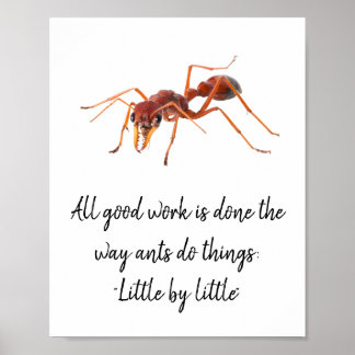 Affiche Comment fonctionnent les fourmis