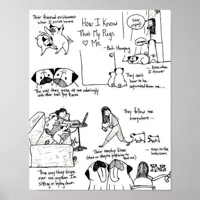 Affiche Comment Je Sais Que Mes Carlins M'Aiment (Devant)