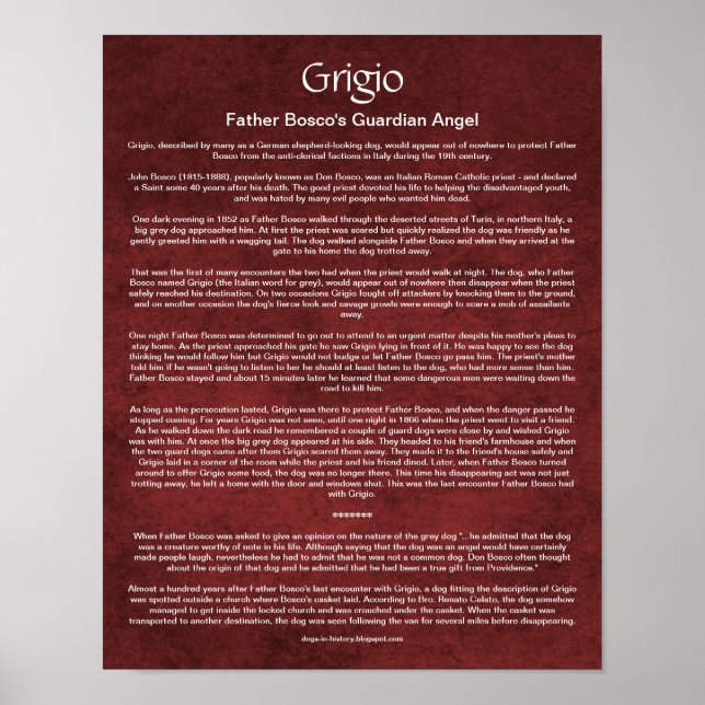 Affiche Comment un chien-ange gardien a gardé un prêtre ca (Devant)