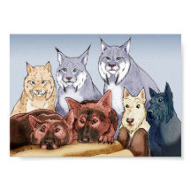 Compagnons - Couleur