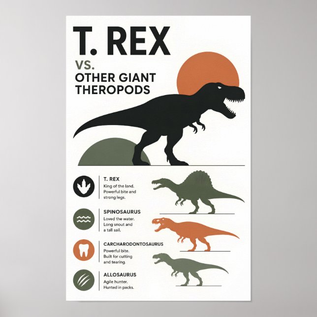 Affiche Comparaison éducative minimaliste des dinosaures  (Devant)