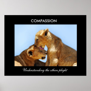 Affiche Compassion avec les petits animaux perdus ses