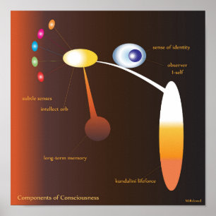 Affiche Composants de conscience