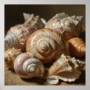Affiche Composition de coquillages iridescents