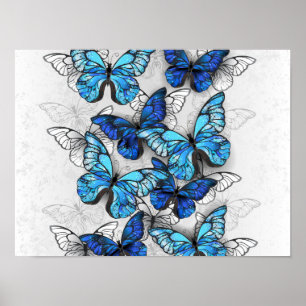 Affiche Composition de papillons blancs et bleus